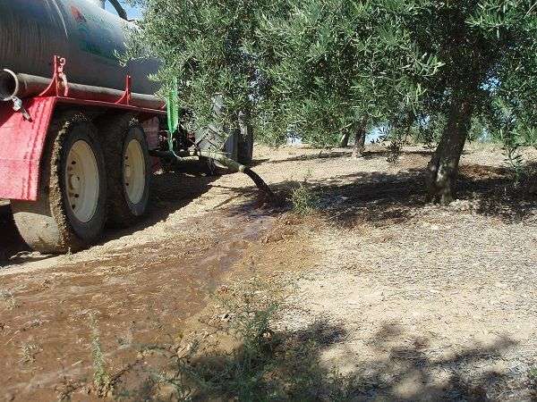 Управление жидкими отходами от маслобойни, применяемое в оливковых хозяйствах