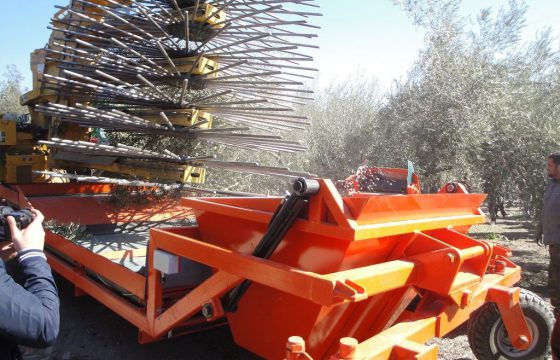 Инновации и новые технологии в производстве оливкового масла MECAOLIVAR